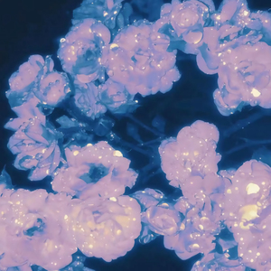 男女又爽❌又黄❌免费怀孕动漫
