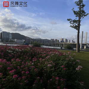 男女又爽❌又黄❌免费怀孕动漫
